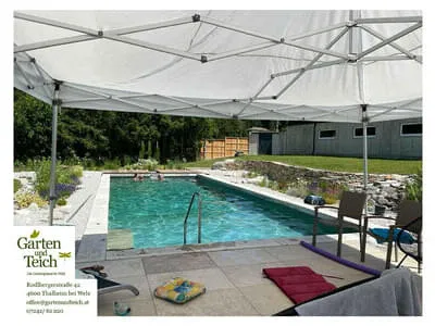 Naturpools & Schwimmteiche Bild 33