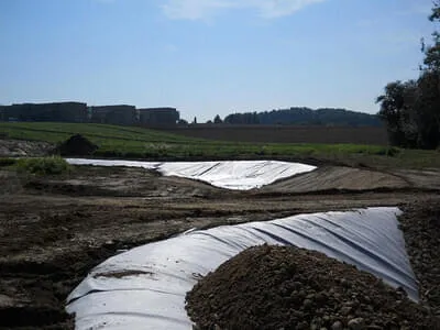 Naturnahe Biotope Bild 3