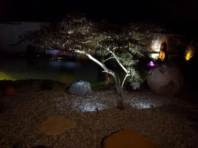 Naturpool Exkursion Bild 9